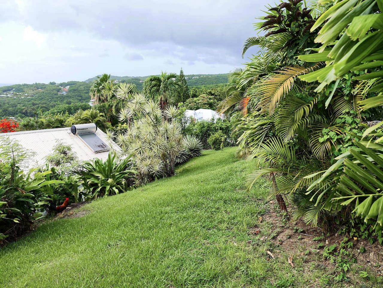 Karureve Villa Deshaies Buitenkant foto